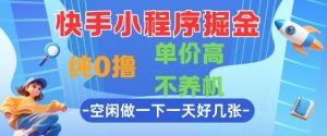 快手小程序掘金,纯0撸,单价高不养机 利用空闲时间做一做,一天好几张【揭秘】-大兵轻创资源库