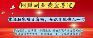 网创副业黄全赛道，掌握独家项目密码，知识变现快人一步，告别韭菜轻松实现单日变现1k+【揭秘】-大兵轻创资源库