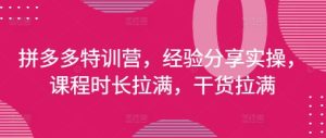 拼多多特训营，经验分享实操，课程时长拉满，干货拉满(更新25年4月)-大兵轻创资源库