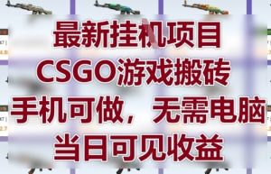 最新挂G项目,CSGO游戏搬砖,手机可做,无需电脑,当日见收益【揭秘】-大兵轻创资源库