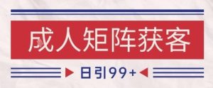 小红书某音橙人赛道引流获客,自热矩阵日引200+【揭秘】-大兵轻创资源库