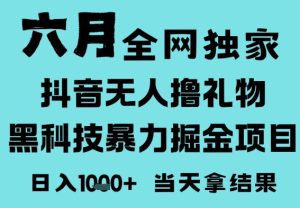 25年6月高爆抖音无人直播最新撸音浪掘金项目，门槛低小白可做，无脑日入1k，可矩阵放大【揭秘】-大兵轻创资源库
