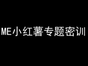 ME小红薯专题密训-小红书电商教程-大兵轻创资源库