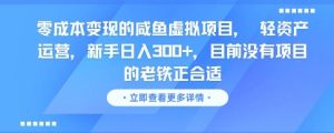 零成本变现的咸鱼虚拟项目, 轻资产运营,新手日入3张+,目前没有项目的老铁正合适-大兵轻创资源库