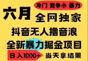 25年6月高爆抖音无人直播最新撸音浪掘金项目,小白可做,无脑日入1k+,门槛低可批量矩阵【揭秘】-大兵轻创资源库