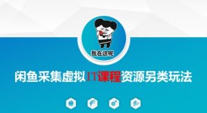 闲鱼采集虚拟IT课程资源另类玩法,干货满满-大兵轻创资源库