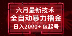 六月最新技术全自动暴力撸金，稳定日入2k+包起号，长期稳定【揭秘】-大兵轻创资源库