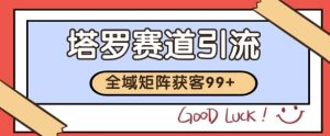 小红书某音塔罗赛道引流获客 自热矩阵日引200+【揭秘】-大兵轻创资源库