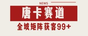 小红书某音唐卡赛道引流获客 自热矩阵日引200+【揭秘】-大兵轻创资源库
