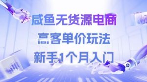 咸鱼无货源电商,高客单价玩法,新手1个月入门-大兵轻创资源库