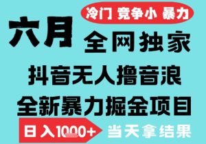 2025年6月高爆抖音无人直播最新撸音浪掘金项目，无脑日入1k+，低门槛小白可做，可矩阵放大【揭秘】-大兵轻创资源库