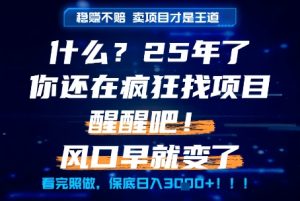 什么？25年你还在疯狂找项目做，醒醒吧，看完这些你全都懂了！【揭秘】-大兵轻创资源库