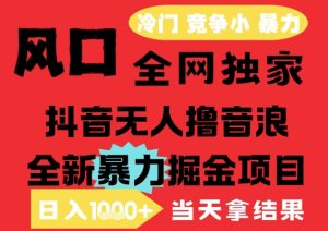 25年6月高爆抖音无人直播最新撸音浪掘金项目,解放双手小白可做,无脑日入1k+,门槛低【揭秘】-大兵轻创资源库