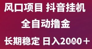 风口项目，六月最新玩法抖音无人挂G，全自动撸金，长期稳定 日入2k+【揭秘】-大兵轻创资源库