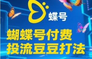2025蝴蝶号付费投流豆豆打法，助新手快速掌握付费流量撬动自然流的核心玩法-大兵轻创资源库