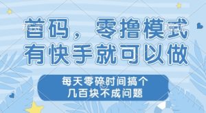 首码零撸项目,有快手就可以做,每天业务时间搞个几张不是问题【揭秘】-大兵轻创资源库