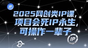 2025网创类IP课，项目会死IP永生，可操作一辈子-大兵轻创资源库