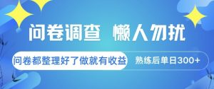 问卷调查，懒人勿扰，问卷都整理好了单价不等，做就有收益，熟练后单日3张【揭秘】-大兵轻创资源库