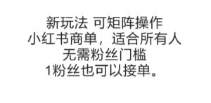 可矩阵操作，小红书商单新玩法，适合所有人，无需粉丝门槛，1粉丝也可以接单-大兵轻创资源库