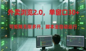 外卖浏览2.0,单窗口30+可矩阵无限多开,脚本全自动运行【揭秘】-大兵轻创资源库