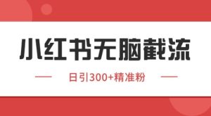 小红书截流同行客源，独家野路子获客玩法 日引200+暴力获客【揭秘】-大兵轻创资源库