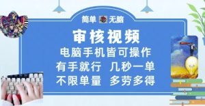 审核视频,电脑手机皆可操作,有手就行,几秒一单,不限单量,多劳多得【揭秘】-大兵轻创资源库
