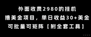 外面收费2980的挂G撸美金项目，单日收益30+美金，可批量可矩阵【揭秘】-大兵轻创资源库