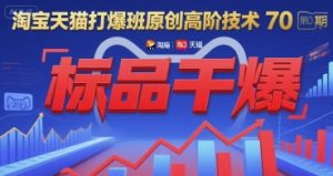 淘宝天猫打爆班原创高阶技术第70期：标品干爆-大兵轻创资源库