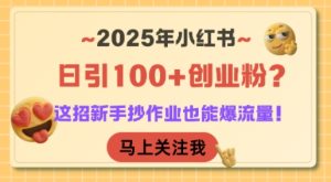 2025年小红书日引100+创业粉？这招新手抄作业也能爆流量！-大兵轻创资源库