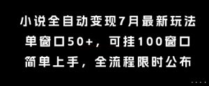 小说全自动变现7月玩法，单窗口50+，可挂100窗口，简单上手，全流程限时公布【揭秘】-大兵轻创资源库