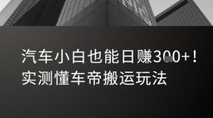 汽车小白也能日入3张！实测懂车帝搬运玩法-大兵轻创资源库