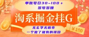 淘系掘金挂G项目，单账号日收益30~100+，多号多得，一个做了就有的项目【揭秘】-大兵轻创资源库