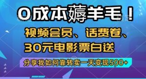 0成本薅羊毛!视频会员、话费卷、30元电影票白送，分享我如何靠转卖一天变现5张+【揭秘】-大兵轻创资源库