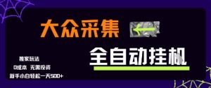 大众采集全自动玩法，新手小白轻松一天5张+，操作简单零成本【揭秘】-大兵轻创资源库
