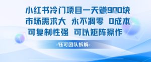 小红书冷门项目一天收益9张，市场需求大，0成本，可复制性强可以矩阵操作-大兵轻创资源库