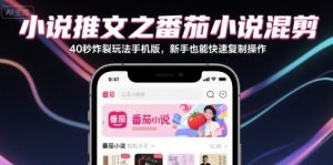 小说推文之番茄小说混剪40秒炸裂玩法手机版，新手也能快速复制操作-大兵轻创资源库