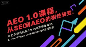 AEO 1.0 课程，从SEO到AE0的基命性转变，手把手教会你用AnswerEngineOptimization技术抢回流量-大兵轻创资源库