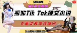 海外tiktok小说推文暴力项目，高停留率，高转化率，上手后一天搞顿饭钱不是问题-大兵轻创资源库