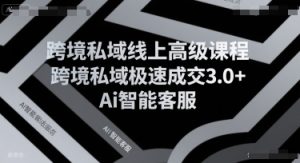 跨境私域线上高级课程，跨境私域极速成交3.0+Ai智能客服-大兵轻创资源库
