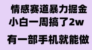 情感暴力掘金项目，新人操作一周挣了2W，长期稳定小白可做【揭秘】-大兵轻创资源库
