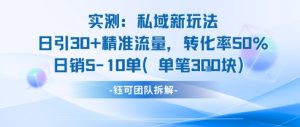 实测私域新玩法日引30加精准流量转化率50%日销5-10单每笔3张-大兵轻创资源库