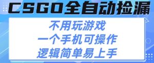 CSGO自动捡漏项目，最新独家玩法，不用挂G不用玩游戏，一个手机即可操作，新手小白轻松月入1W+【揭秘】-大兵轻创资源库