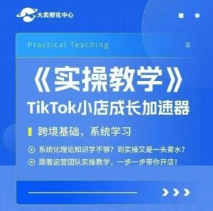 大卖家孵化中心TikTok实操课,TikTok小店成长加速器,跨境基础系统学习,一步一步带你开店-大兵轻创资源库