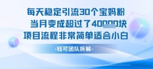 每天稳定引流30个人 当月变成超过了4个W项目流程非常简单适合小白-大兵轻创资源库