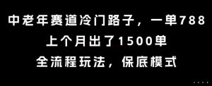 中老年赛道冷门路子，一单788，上个月出了1500单，全流程玩法，保底模式【揭秘】-大兵轻创资源库