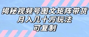 解密视频号图文矩阵带货，月入几个W的打法，可复制-大兵轻创资源库