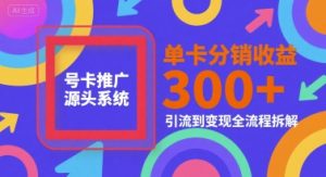 号卡推广源头系统，单卡分销收益3张+，引流到变现全流程拆解【揭秘】-大兵轻创资源库
