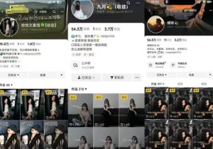 抖音图文文案赛道新玩法,快速养号起号,广告收益分成+橱窗带货+教学收徒等-大兵轻创资源库