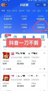 抖音短视频一刀不剪带货，不剪辑，不直播，每天发个视频，等着出单获取带货佣金-大兵轻创资源库