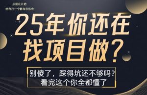 25年，你还在疯狂的找项目吗？别傻了，看完这个你都懂了【揭秘】-大兵轻创资源库